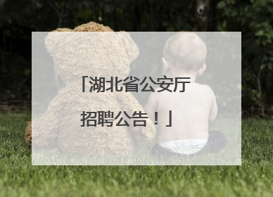 湖北省公安厅招聘公告！
