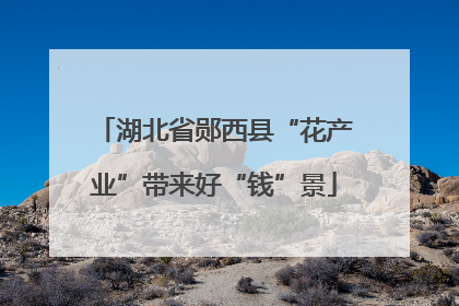 湖北省郧西县“花产业”带来好“钱”景