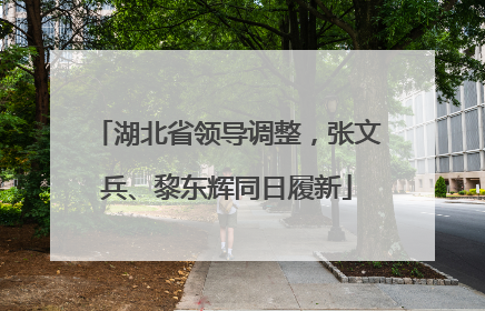 湖北省领导调整，张文兵、黎东辉同日履新