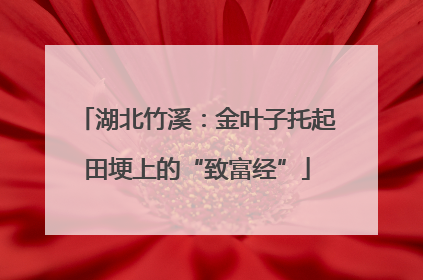 湖北竹溪：金叶子托起田埂上的“致富经”
