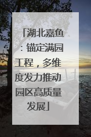 湖北嘉鱼：锚定满园工程，多维度发力推动园区高质量发展