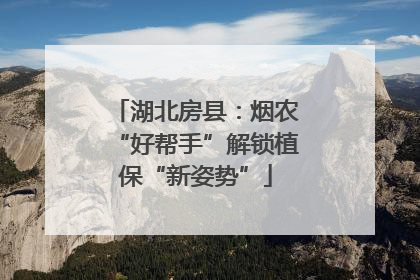 湖北房县：烟农“好帮手”解锁植保“新姿势”