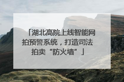 湖北高院上线智能网拍预警系统，打造司法拍卖“防火墙”