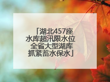 湖北457座水库超汛限水位 全省大型湖库抓紧蓄水保水