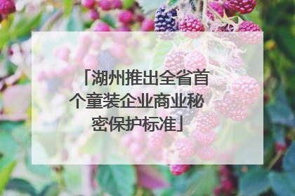 湖州推出全省首个童装企业商业秘密保护标准