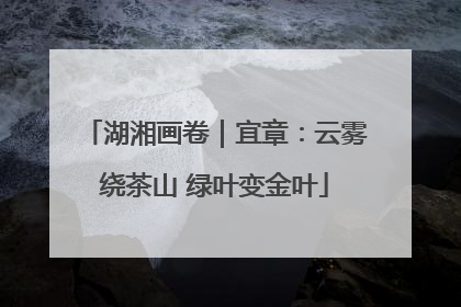 湖湘画卷｜宜章：云雾绕茶山 绿叶变金叶