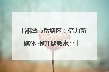 湘潭市岳塘区：借力新媒体 提升健教水平