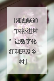湘西联通“国补进村”让数字化红利惠及乡村
