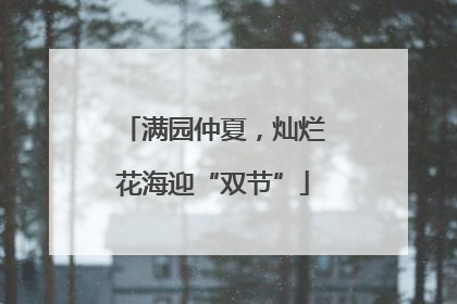 满园仲夏，灿烂花海迎“双节”