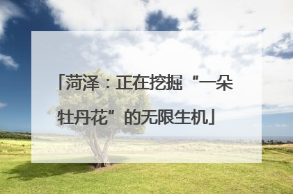 菏泽：正在挖掘“一朵牡丹花”的无限生机
