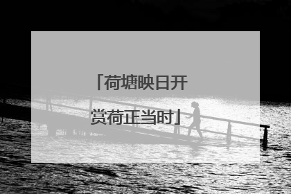 荷塘映日开 赏荷正当时