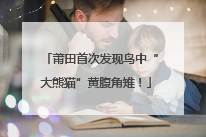 莆田首次发现鸟中“大熊猫”黄腹角雉！