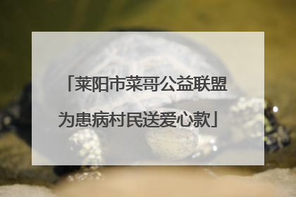 莱阳市菜哥公益联盟为患病村民送爱心款