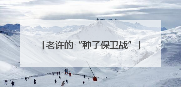 老许的“种子保卫战”