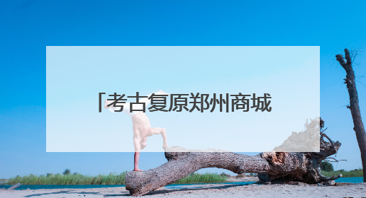 考古复原郑州商城遗址的城市生命史