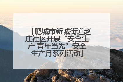 肥城市新城街道赵庄社区开展“安全生产 青年当先”安全生产月系列活动