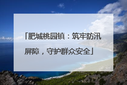 肥城桃园镇：筑牢防汛屏障，守护群众安全