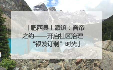 肥西县上派镇：窗帘之约——开启社区治理“银发订制”时光