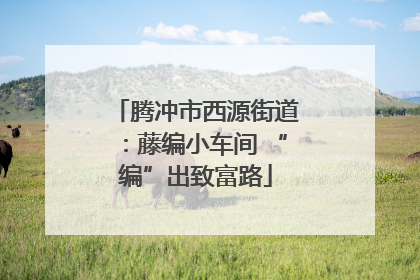 腾冲市西源街道：藤编小车间 “编”出致富路