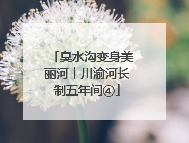 臭水沟变身美丽河丨川渝河长制五年间④