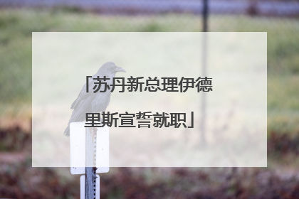 苏丹新总理伊德里斯宣誓就职