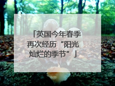英国今年春季再次经历“阳光灿烂的季节”