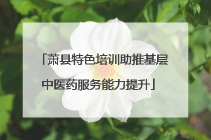 萧县特色培训助推基层中医药服务能力提升
