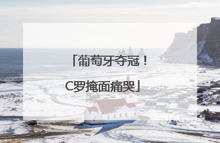 葡萄牙夺冠！C罗掩面痛哭
