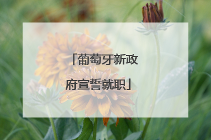 葡萄牙新政府宣誓就职