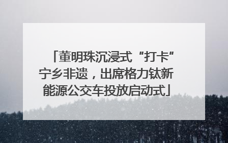 董明珠沉浸式“打卡”宁乡非遗，出席格力钛新能源公交车投放启动式