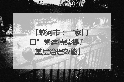 蛟河市：“家门口”党建持续提升基层治理效能