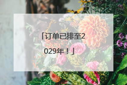 订单已排至2029年！