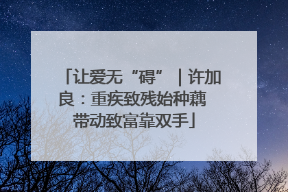 让爱无“碍”｜许加良：重疾致残始种藕 带动致富靠双手