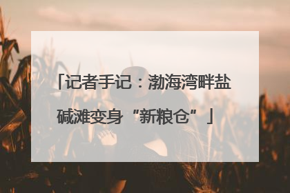 记者手记：渤海湾畔盐碱滩变身“新粮仓”