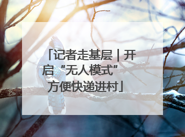记者走基层｜开启“无人模式” 方便快递进村