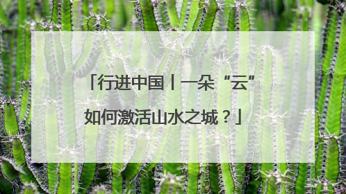 行进中国丨一朵“云”如何激活山水之城？