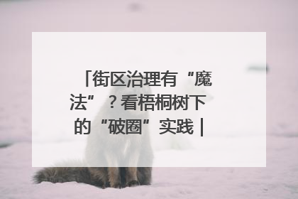 街区治理有“魔法”？看梧桐树下的“破圈”实践｜我在街区当书记
