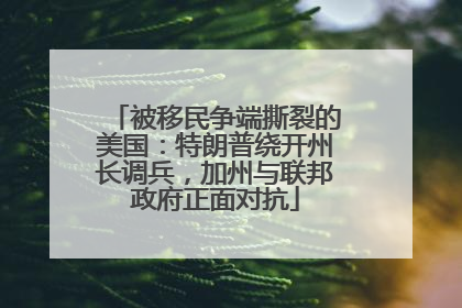 被移民争端撕裂的美国：特朗普绕开州长调兵，加州与联邦政府正面对抗