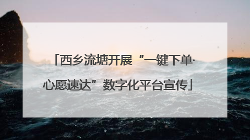 西乡流塘开展“一键下单·心愿速达”数字化平台宣传