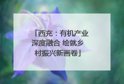 西充：有机产业深度融合 绘就乡村振兴新画卷