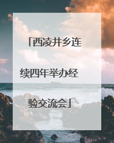 西凌井乡连续四年举办经验交流会