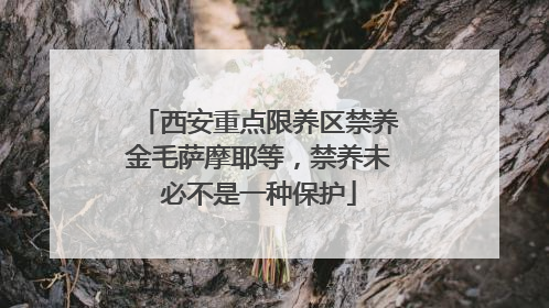 西安重点限养区禁养金毛萨摩耶等，禁养未必不是一种保护