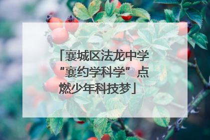 襄城区法龙中学“襄约学科学”点燃少年科技梦