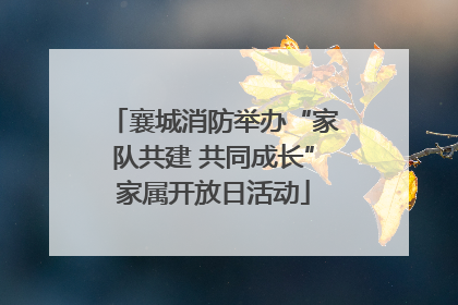 襄城消防举办“家队共建 共同成长”家属开放日活动