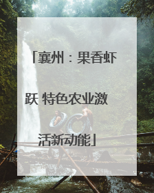 襄州：果香虾跃 特色农业激活新动能