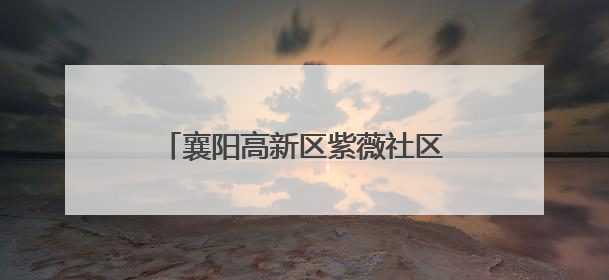 襄阳高新区紫薇社区举办“粽情邻里，手作传香”主题活动