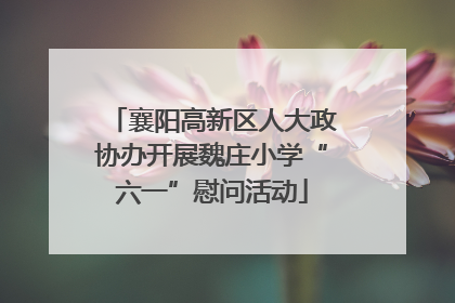 襄阳高新区人大政协办开展魏庄小学“六一”慰问活动
