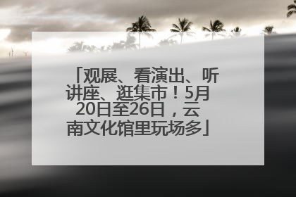 观展、看演出、听讲座、逛集市！5月20日至26日，云南文化馆里玩场多