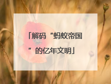 解码“蚂蚁帝国”的亿年文明