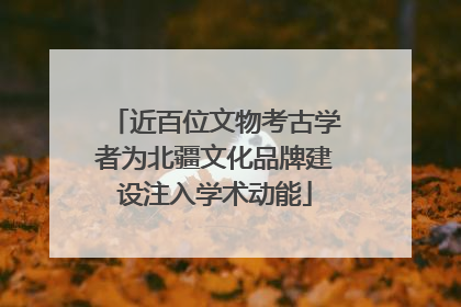 近百位文物考古学者为北疆文化品牌建设注入学术动能